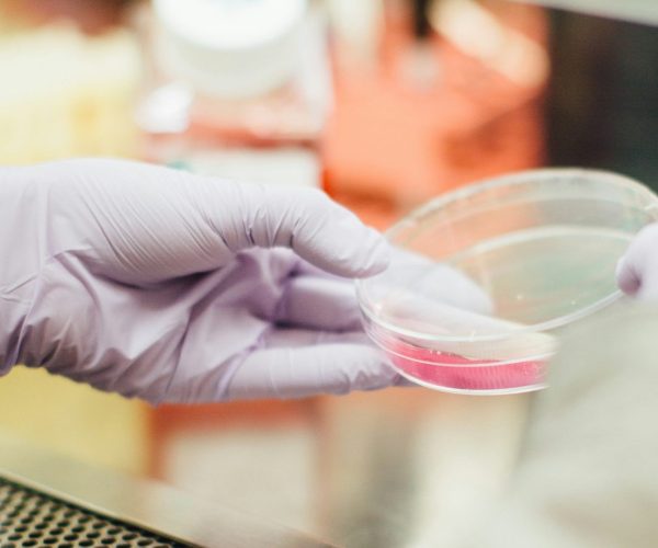 drew-tGYrlchfObE-unsplash